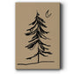 Winter Fir Sketch I - Gallery Wrapped Canvas