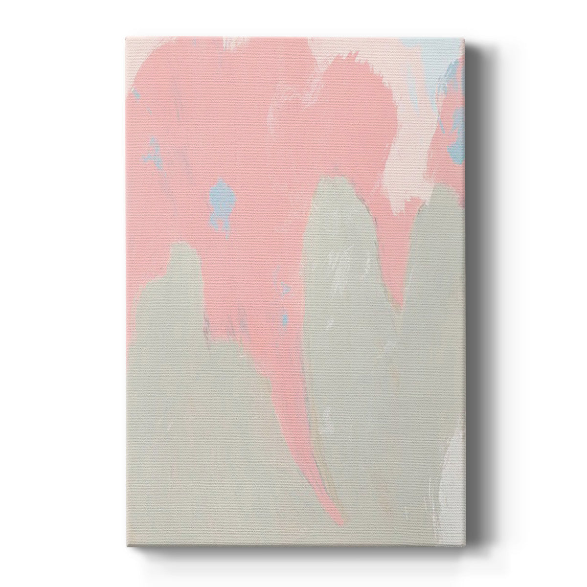 Blushing Abstract IV Premium Gallery Wrapped Canvas - Ready to Hang