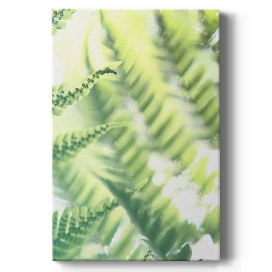 UA Fern Glow VI - Canvas Art Print