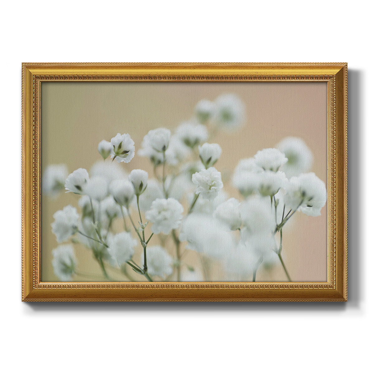 Baby's Breath Study II Premium Framed Canvas- Ready to Hang