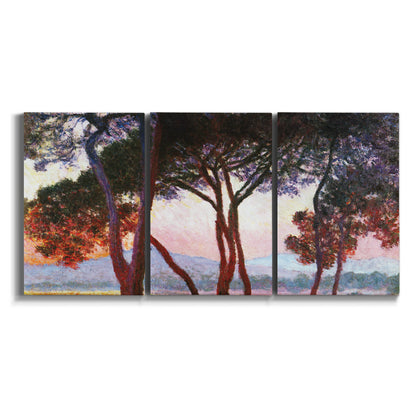Three-panel canvas wall art featuring sunlit pines along mediterranean coast on white background.