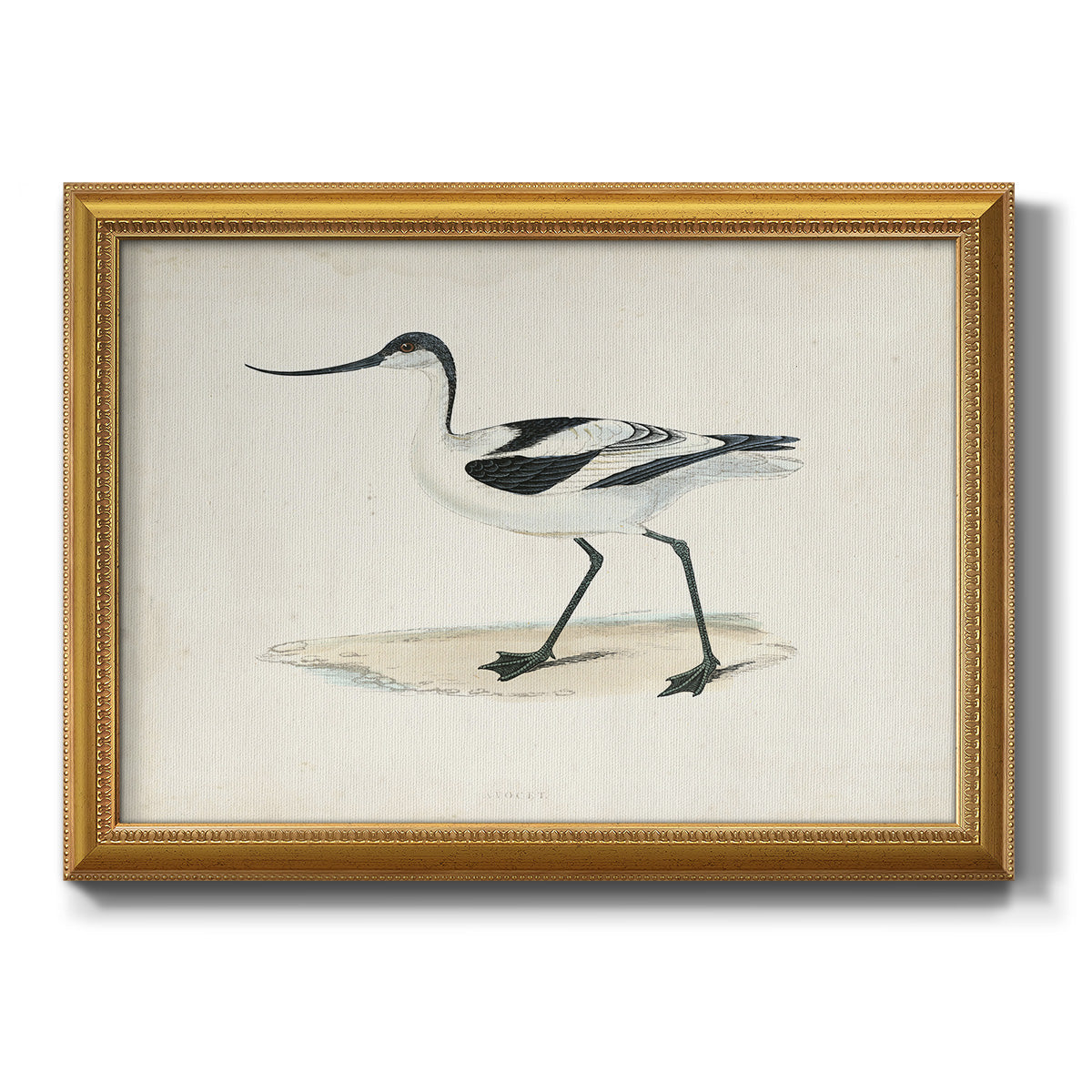 Morris Sandpipers IV Premium Framed Canvas- Ready to Hang