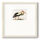 Odd Crane Premium Framed Print Double Matboard