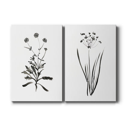 Set of two vertical canvas prints featuring minimalist black ink botanical illustration, displayed side by side.
