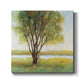 Shade Tree I-Premium Gallery Wrapped Canvas - Ready to Hang