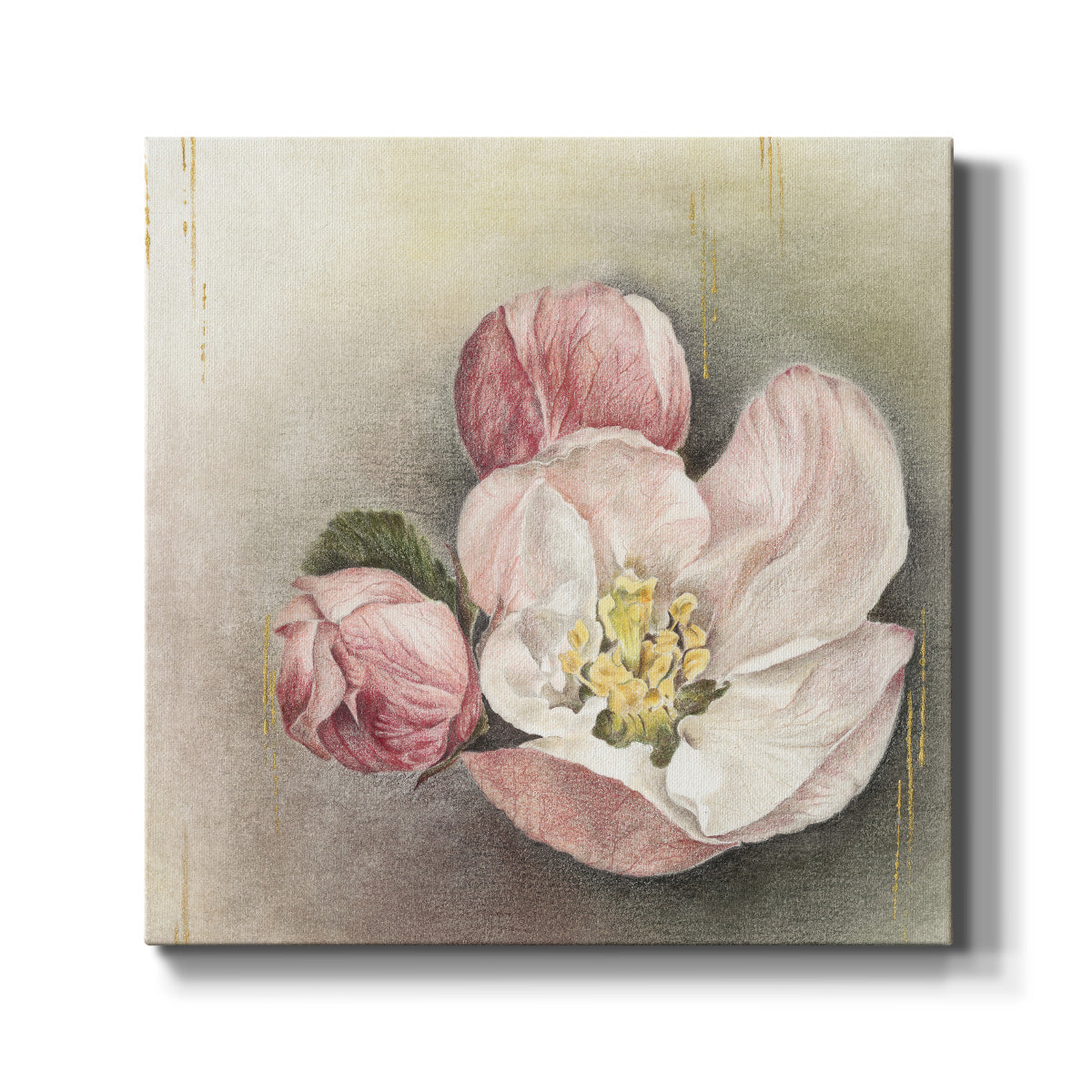 Enlightenment Blossom I - Canvas Art Print