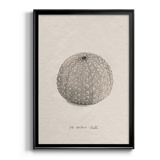 Shore Treasure Study I - Modern Framed Canvas Print