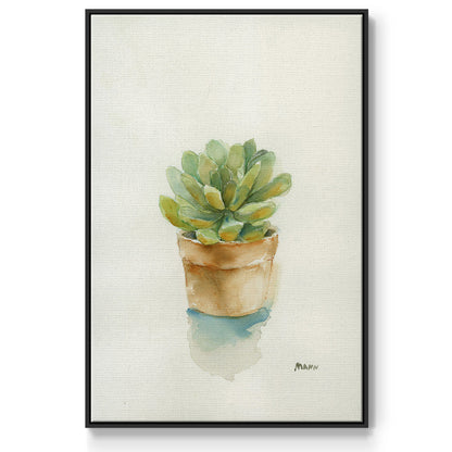 Succulent II - Framed Premium Gallery Wrapped Canvas L Frame - Ready to Hang