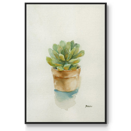 Succulent II - Floater Framed Canvas Print