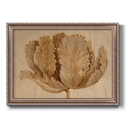 Monochrome sepia tulip flower printed on canvas in an ornate traditional silver frame.
