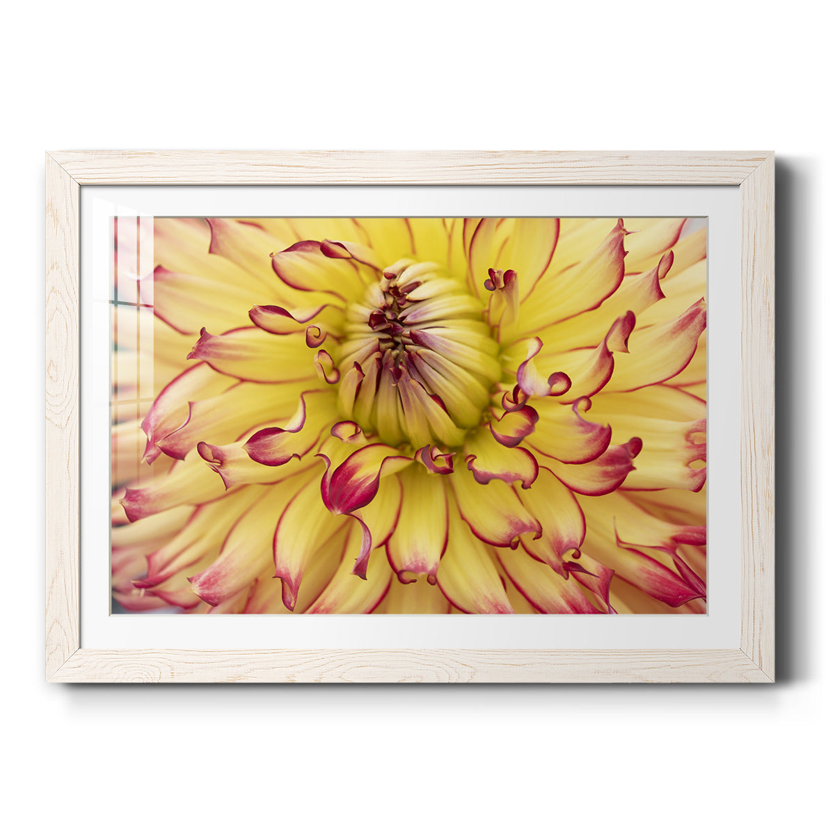 Blooms II - Barnwood Framed Art Print