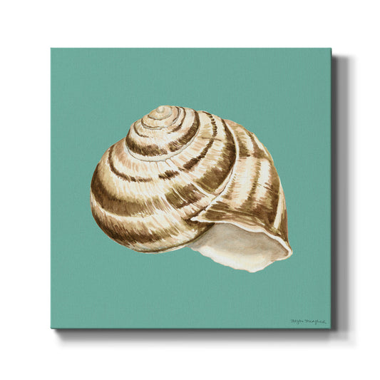 Shell on Aqua I - Canvas Art Print