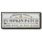 Pumpkin Patch II - Floater Framed Canvas Print