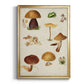 Mushroom Species II - Modern Framed Canvas Print