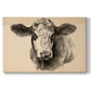 Charcoal Cow I Premium Gallery Wrapped Canvas - Ready to Hang