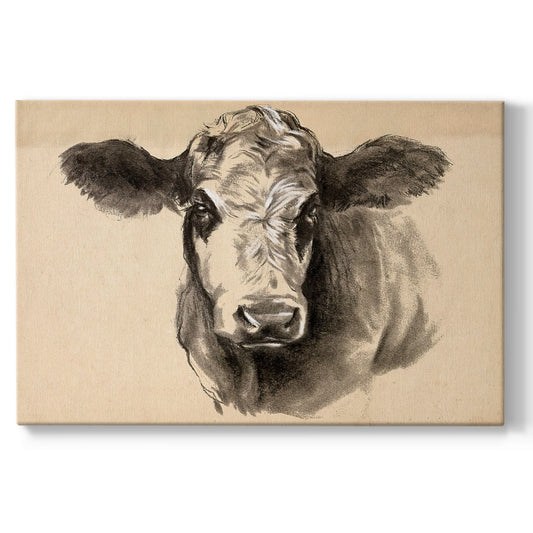 Charcoal Cow I Premium Gallery Wrapped Canvas - Ready to Hang