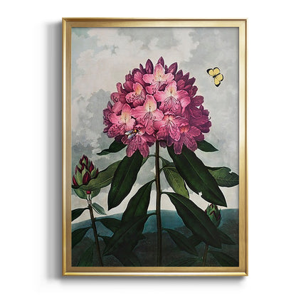 Temple of Flora X - Modern Framed Canvas Print