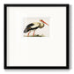Odd Crane - Double Matboard Framed Print