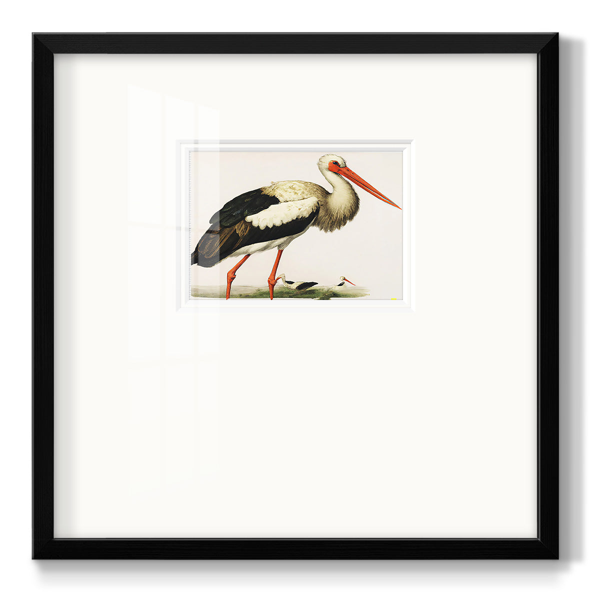 Odd Crane - Double Matboard Framed Print
