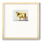 Gold Cow - Double Matboard Framed Print