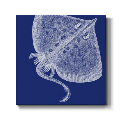 Saturated Sea Life III - Canvas Art Print