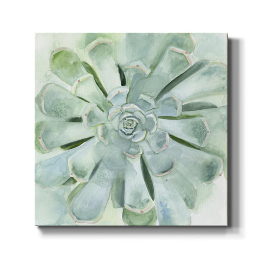 Verdant Succulent IV-Premium Gallery Wrapped Canvas - Ready to Hang