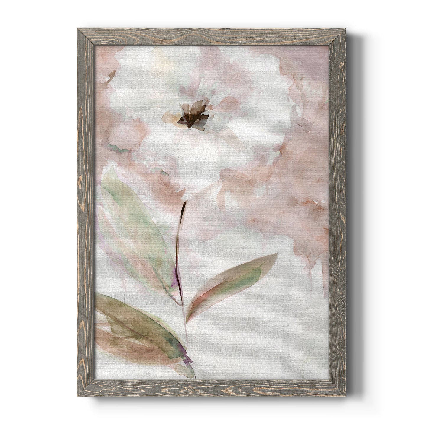 Summer Bloom I - Barnwood Framed Canvas Print