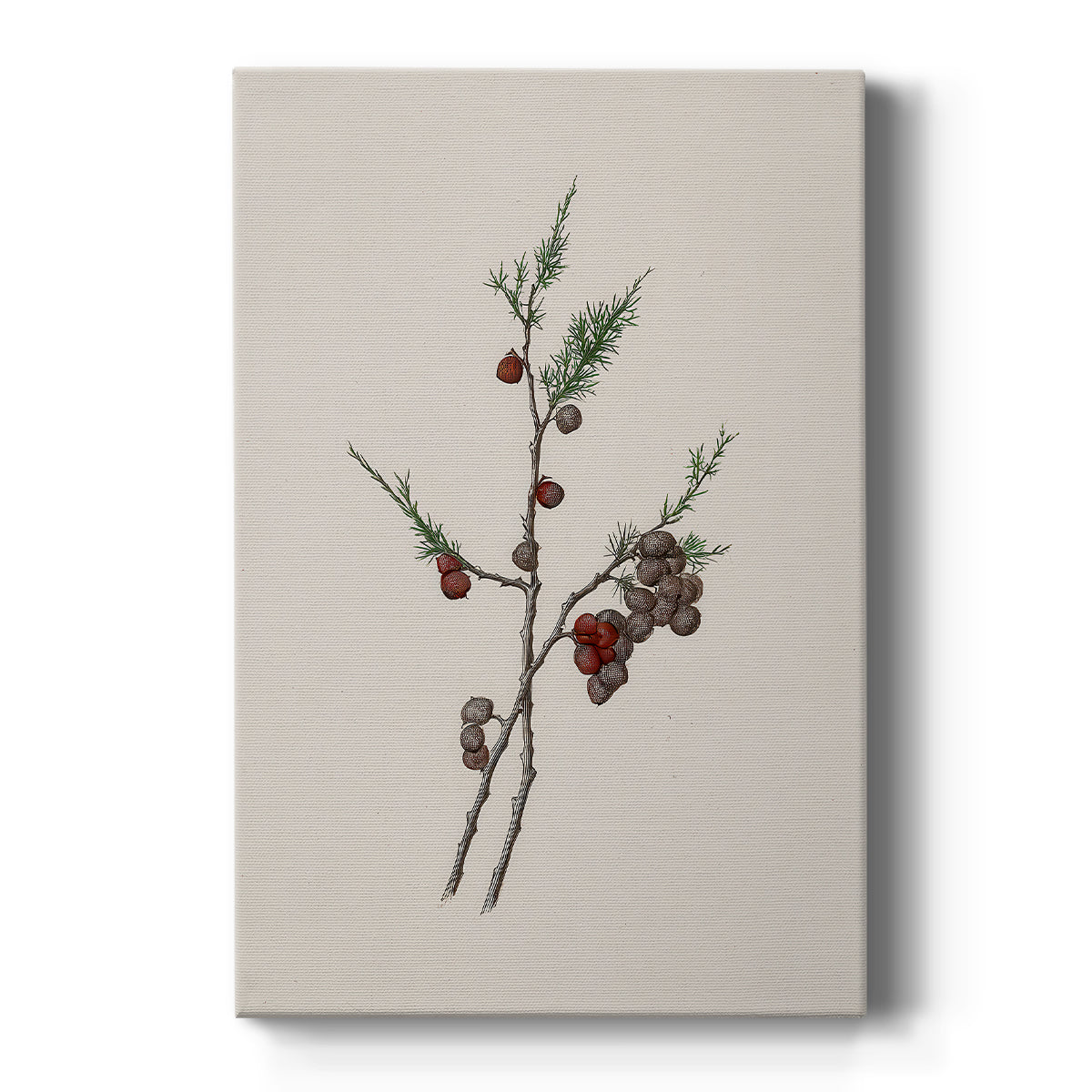 Silver Candle Serenade - Canvas Art Print