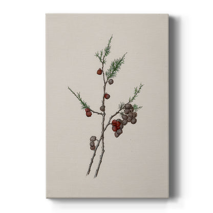 Silver Candle Serenade - Canvas Art Print