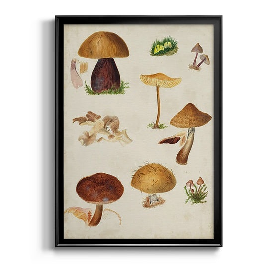 Mushroom Species II - Modern Framed Canvas Print