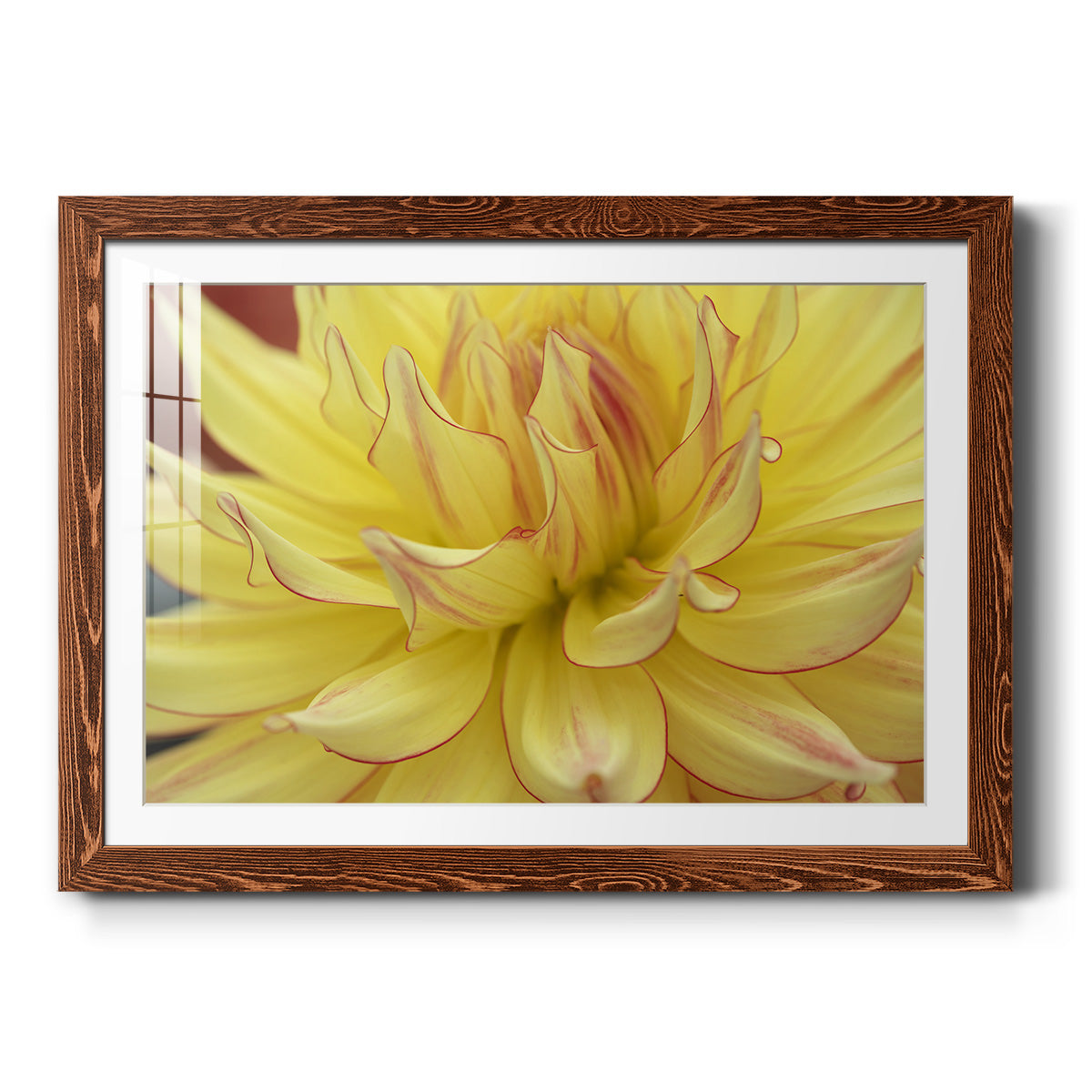 Blooms I - Barnwood Framed Art Print