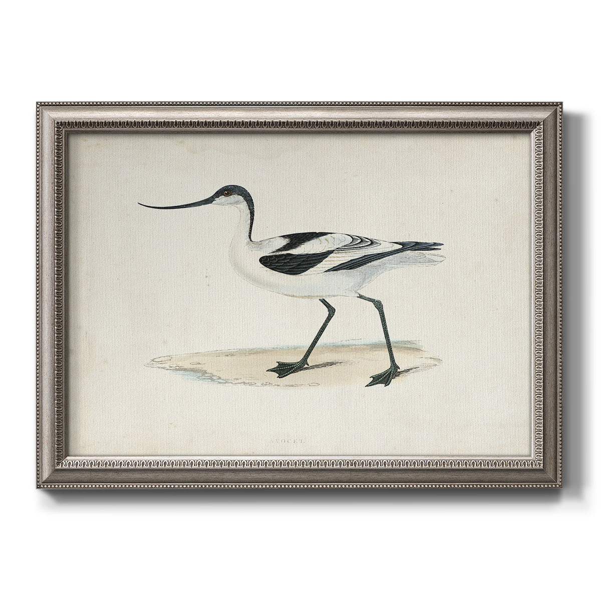 Morris Sandpipers IV Premium Framed Canvas- Ready to Hang