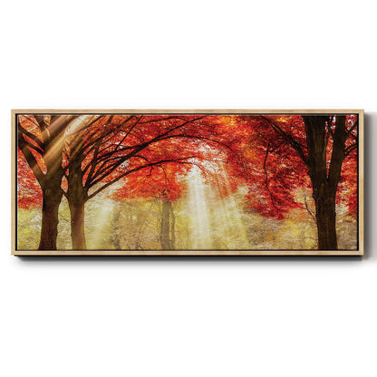 Everland - Floater Framed Canvas Print