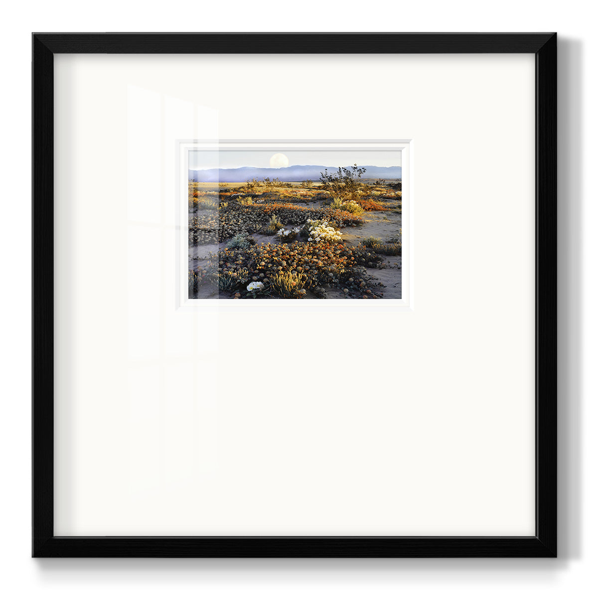 Anza Borrego Desert - Double Matboard Framed Print