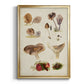 Mushroom Species III - Modern Framed Canvas Print