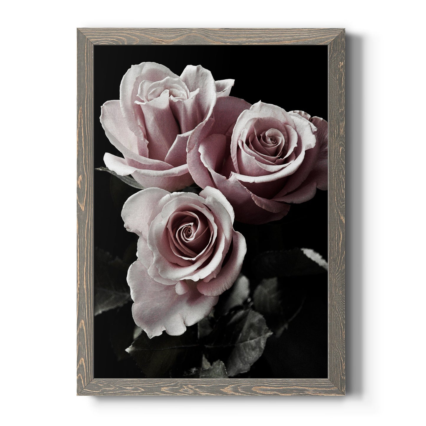 Rose Noir I - Premium Canvas Framed in Barnwood - Ready to Hang