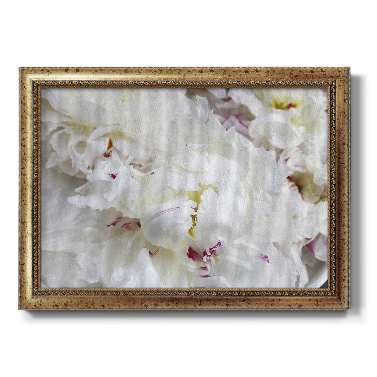 Breathless VI - Ornate Framed Canvas Print