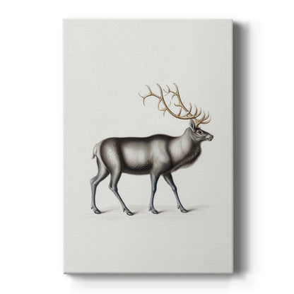 Eve of Silver Village - Canvas Art Print