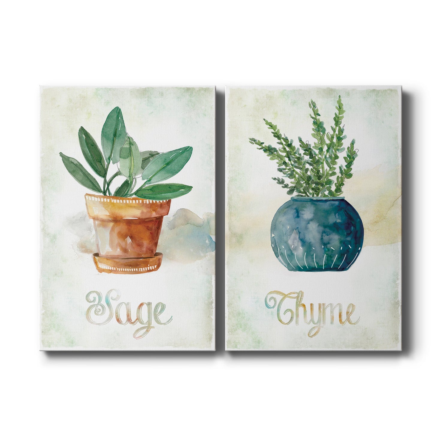 Potted Sage Premium Gallery Wrapped Canvas - Ready to Hang - Set of 2 - 8 x 12 Each