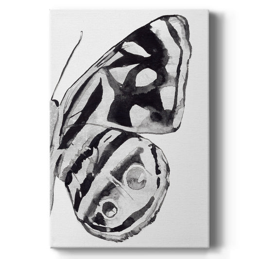 Monochrome Wings IV - Canvas Art Print