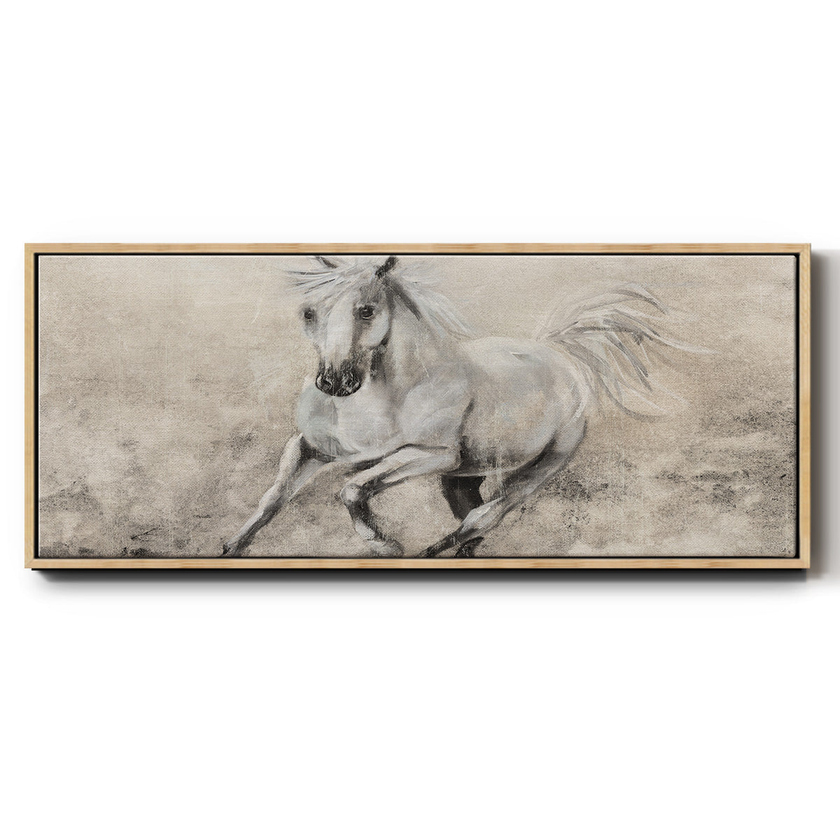 Majestic Stallion II - Floater Framed Canvas Print