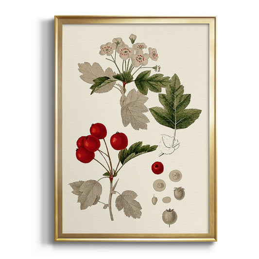 Leaves & Berries III - Modern Framed Canvas Print