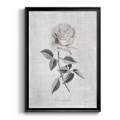 Vintage Botanical I - Modern Framed Canvas Print