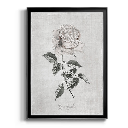 Vintage Botanical I - Modern Framed Canvas Print