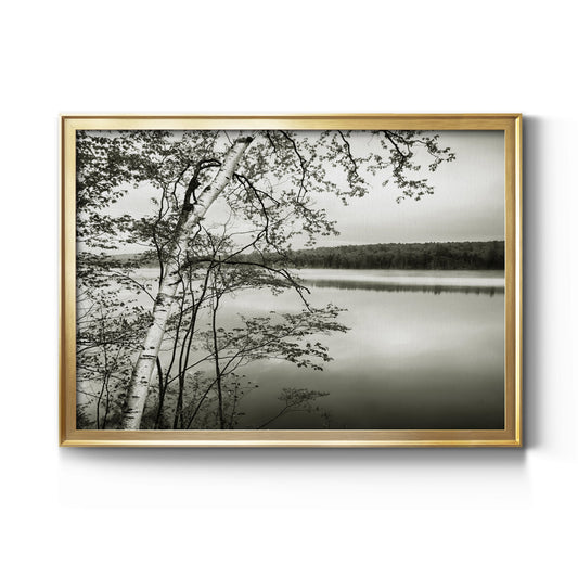 Adirondack Reflections Premium Classic Framed Canvas - Ready to Hang