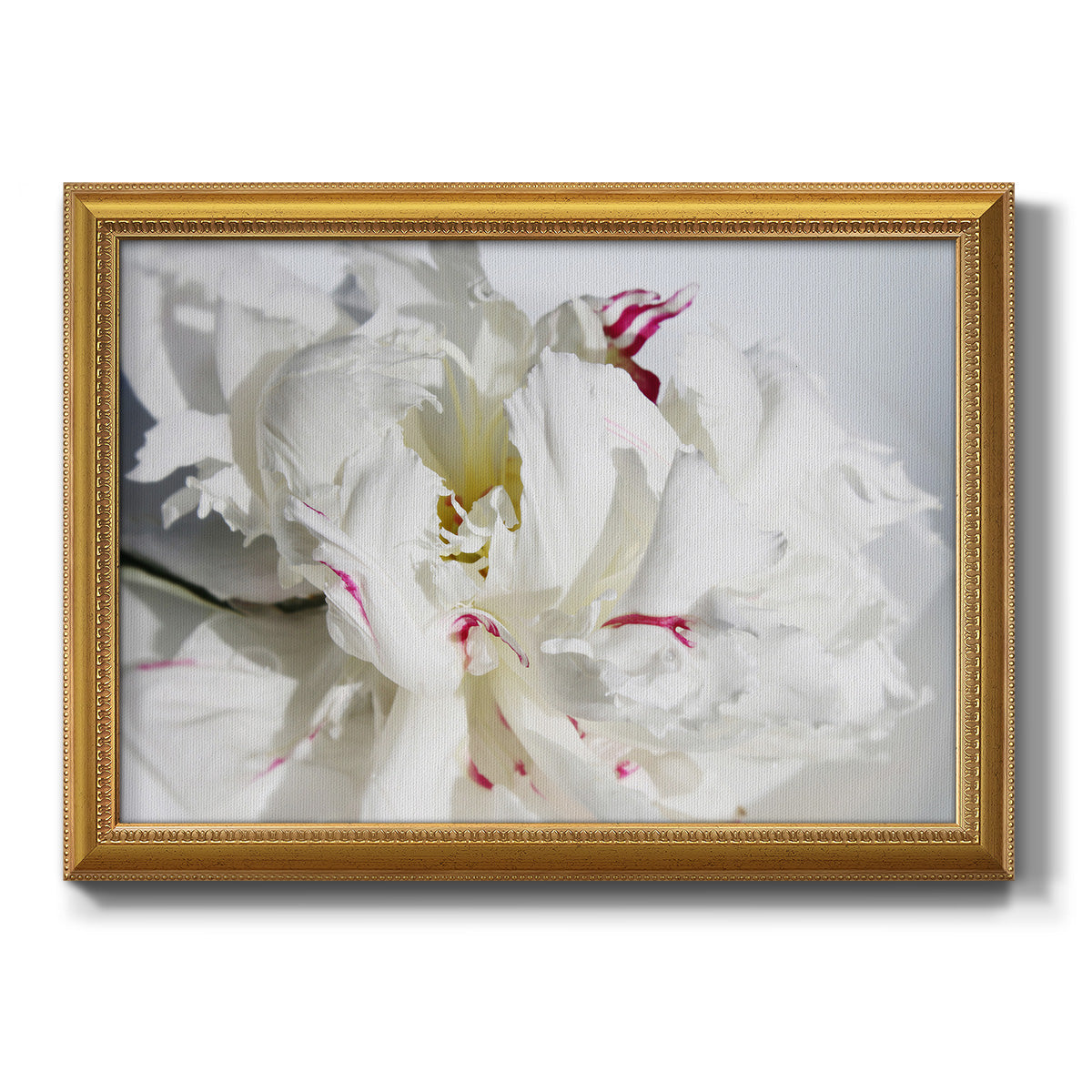 Breathless I Premium Framed Canvas- Ready to Hang