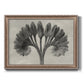 Vintage botanical plant study photograph by Karl Blossfeldt printed on canvas in an ornate traditional silver frame.