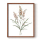 Dainty Botanical I - Restickable Framed Art Print