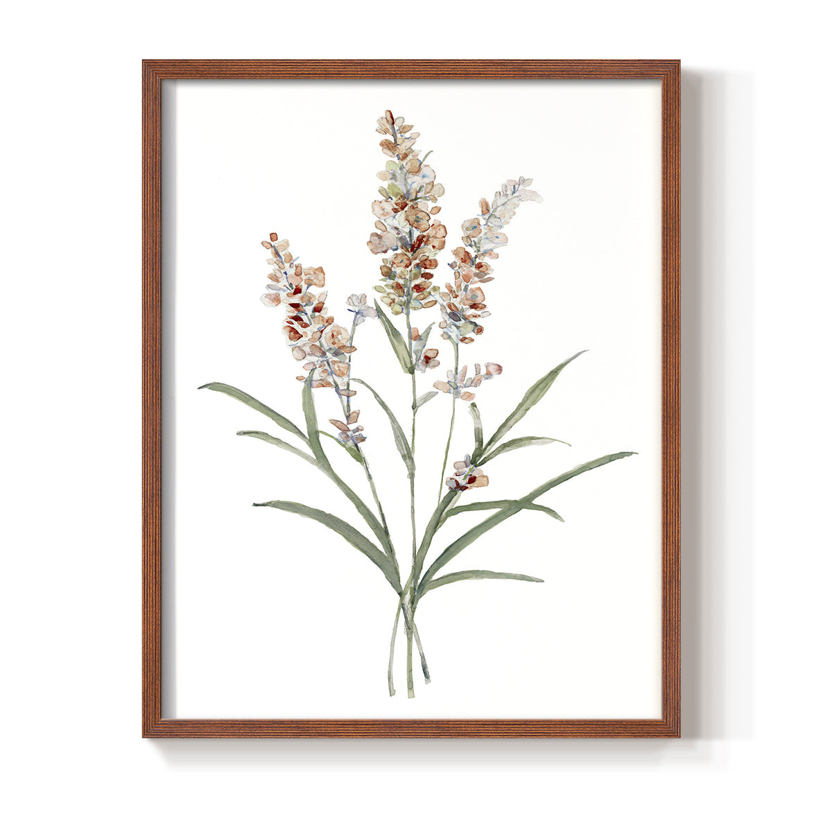 Dainty Botanical I - Restickable Framed Art Print