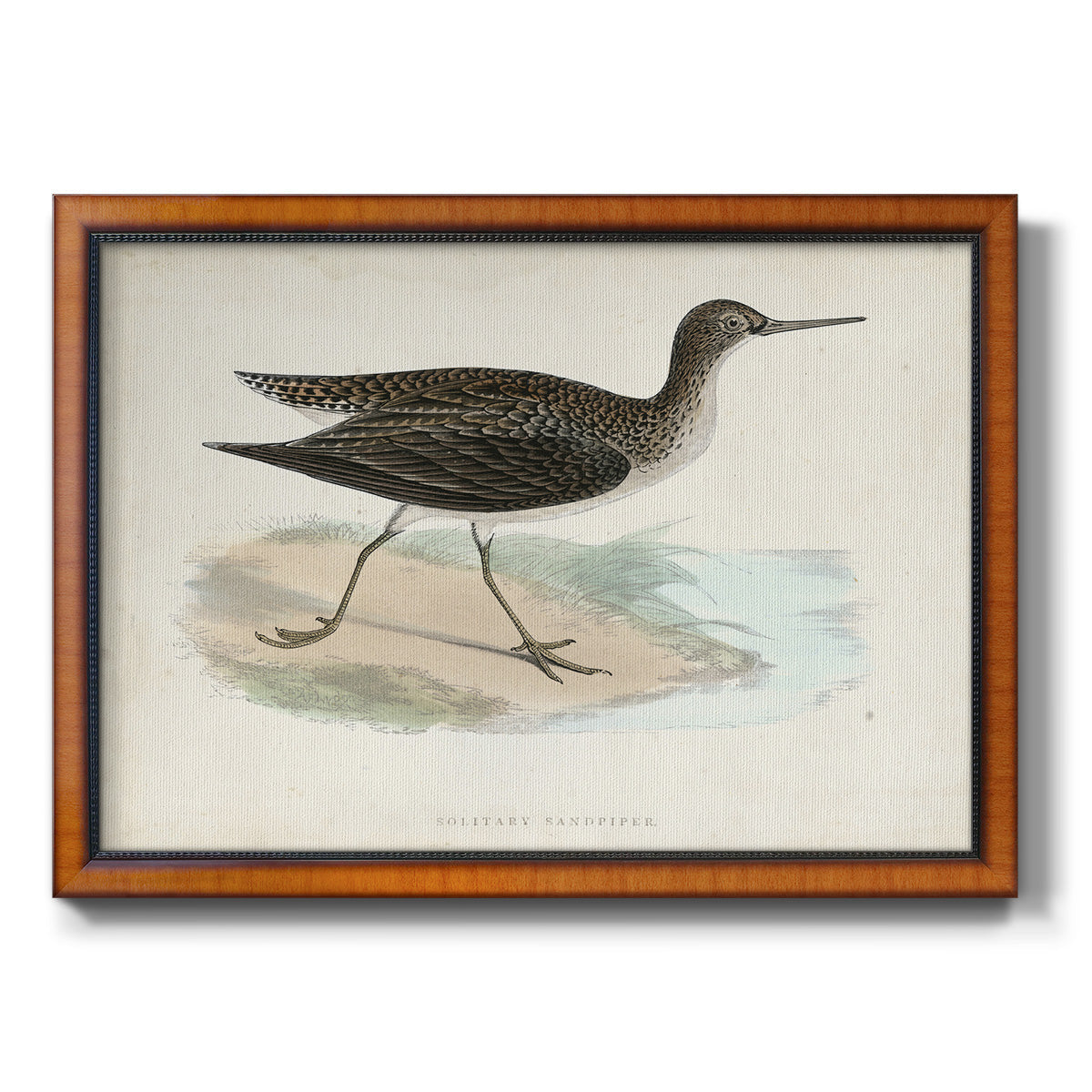 Morris Sandpipers VII Premium Framed Canvas- Ready to Hang